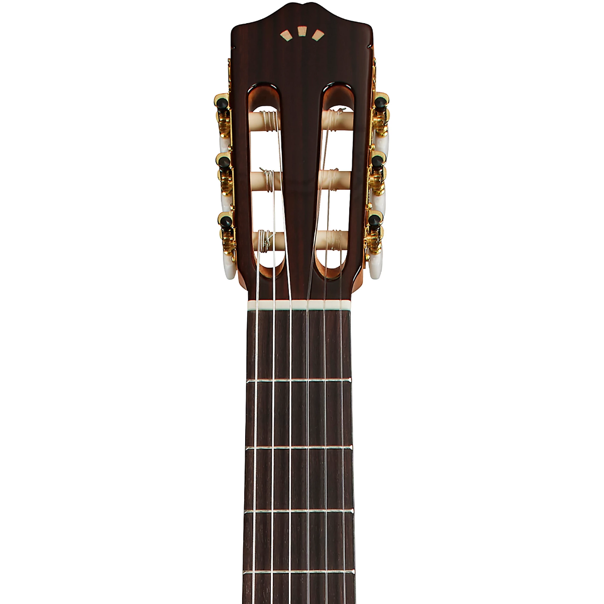 Cordoba C5 CD Cedar Classical Acoustic Guitar in Natural