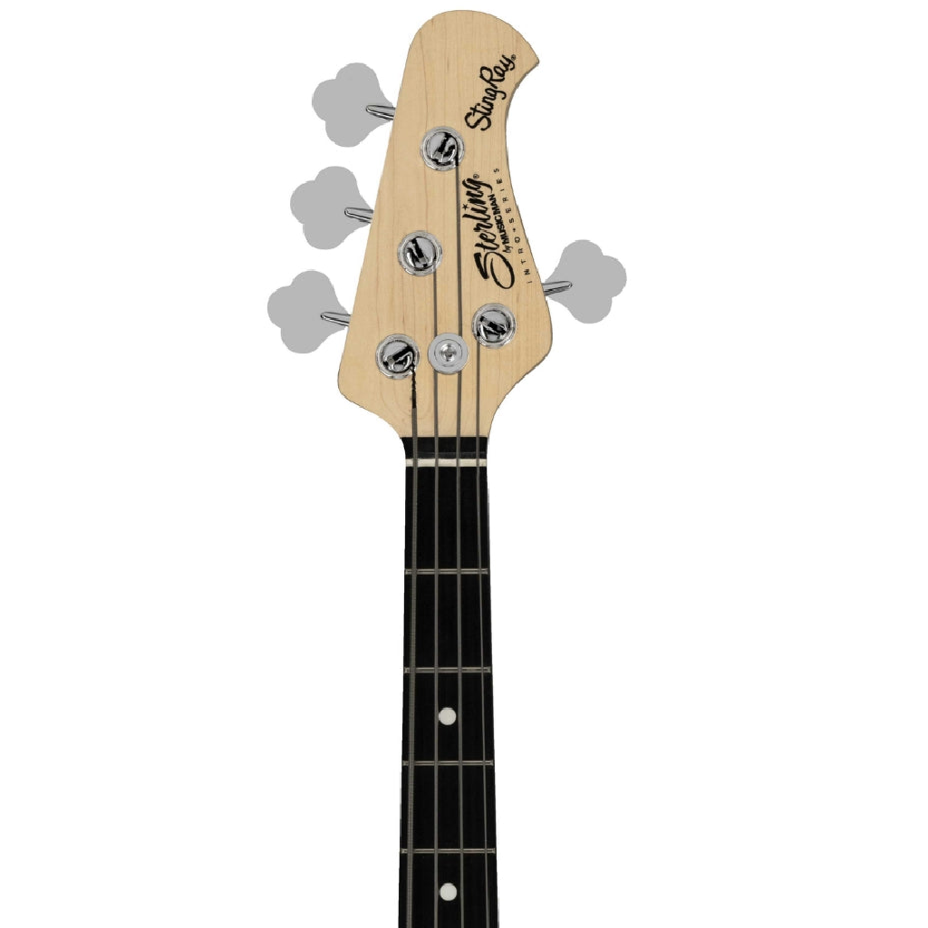 Sterling By Music Man Intro Series StingRay Ray2 Bass Guitar in Misty Green