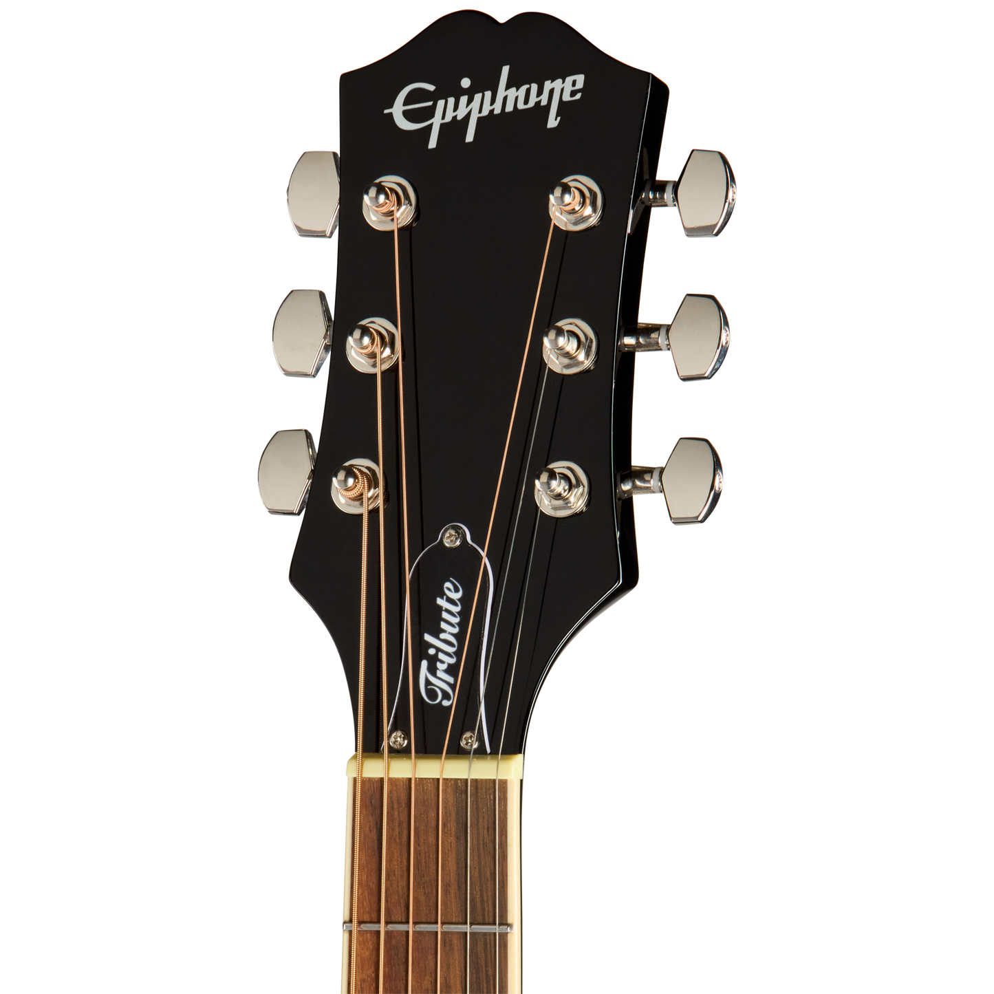 Epiphone Hummingbird Tribute Acoustic Guitar in Ebony