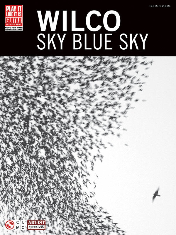 Wilco Sky Blue Sky Guitar Tab Pili