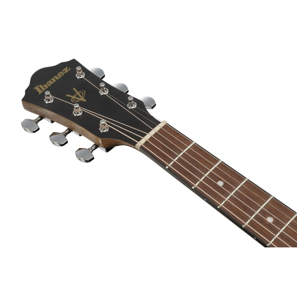 Ibanez VC40WSCE Acoustic Guitar in Open Pore Brown