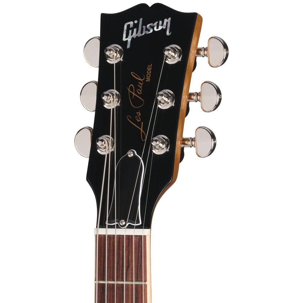 Gibson Les Paul Standard 60s Double Trouble in Vintage Cherry Sunburst