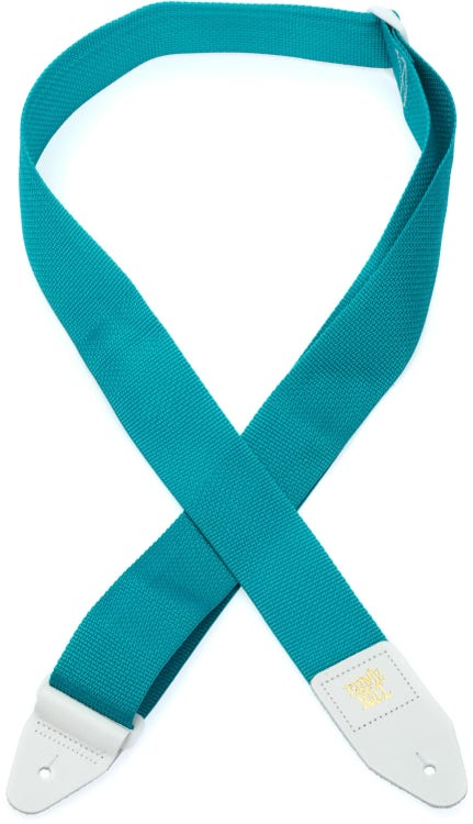 Ernie Ball Polypro Guitar Or Bass Strap in Teal & White