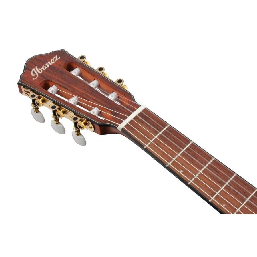Ibanez FRH10N RGF Nylon String Acoustic Electric Guitar in Rose Gold Metallic Flat