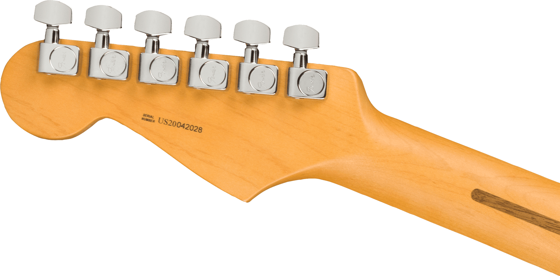 Fender American Professional II Stratocaster, Rosewood Fingerboard in Dark Night