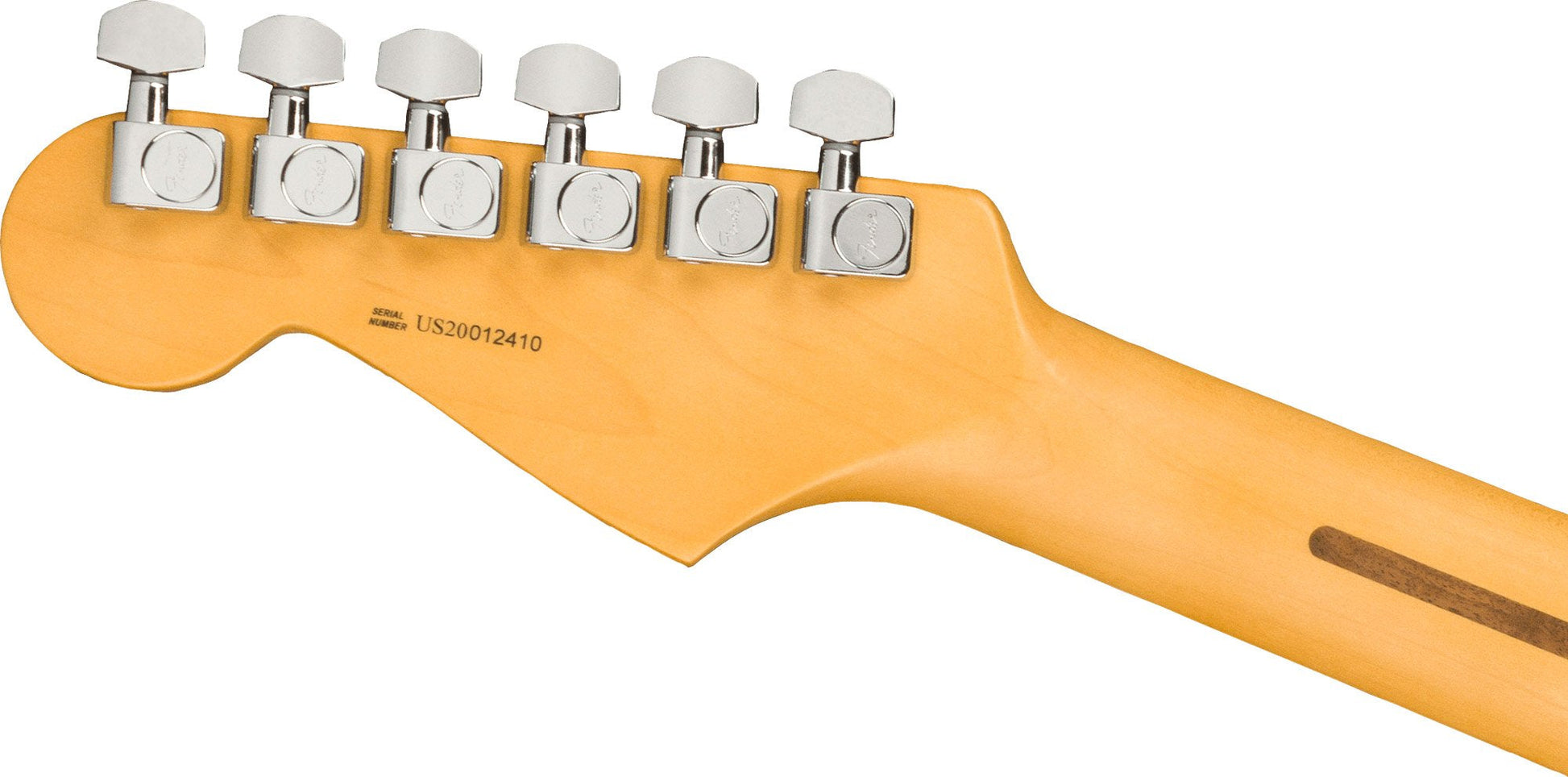 Fender American Professional II Stratocaster, Maple Fingerboard in Dark Night