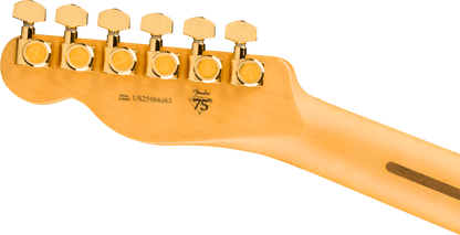 Fender 75th Anniversary American Professional Custom Telecaster in 2-Color Sunburst