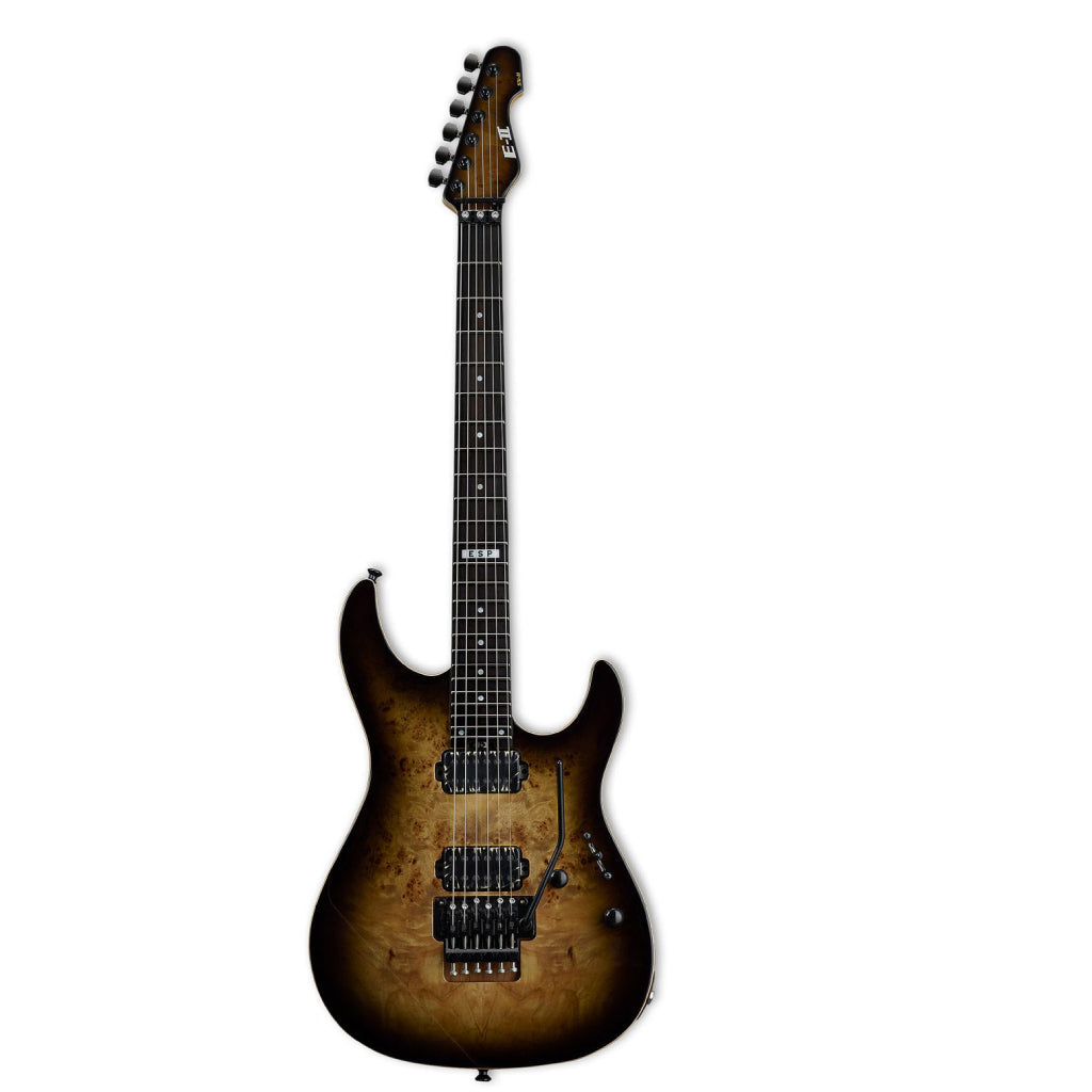 ESP E II SN II in Nebula Black Burst