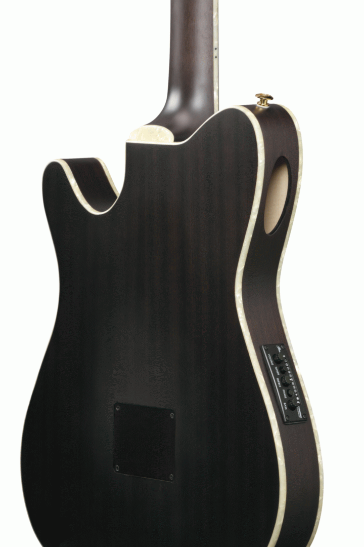Ibanez TOD10N Tim Henson Signature Nylon String Electric Guitar in Transparent Black Flat
