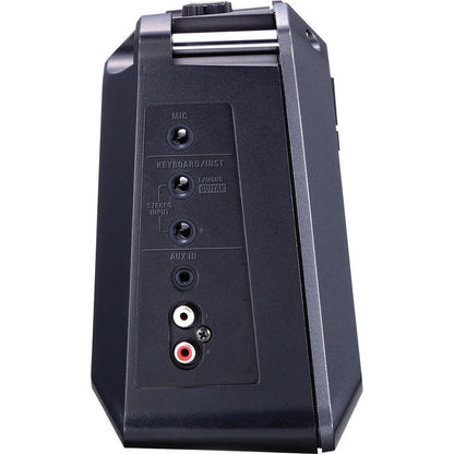 Roland Mobile Cube 2x4" 5W Battery Powered Stereo Amp