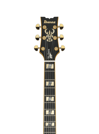 Ibanez JSM20 John Scofield Signature Hollowbody in Black Low Gloss