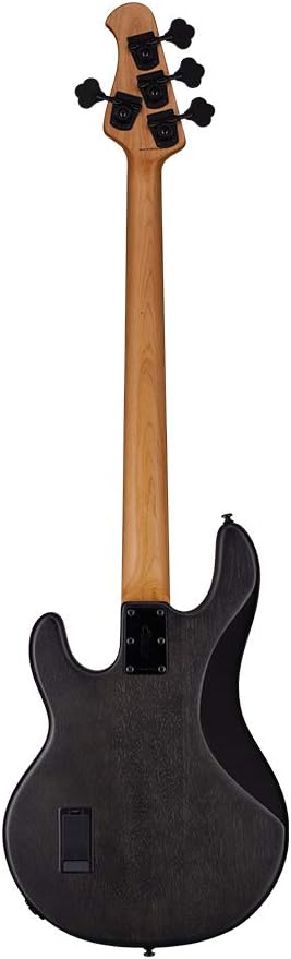 Sterling By Music Man Stingray 4 Poplar Burl Top in Trans Satin Black