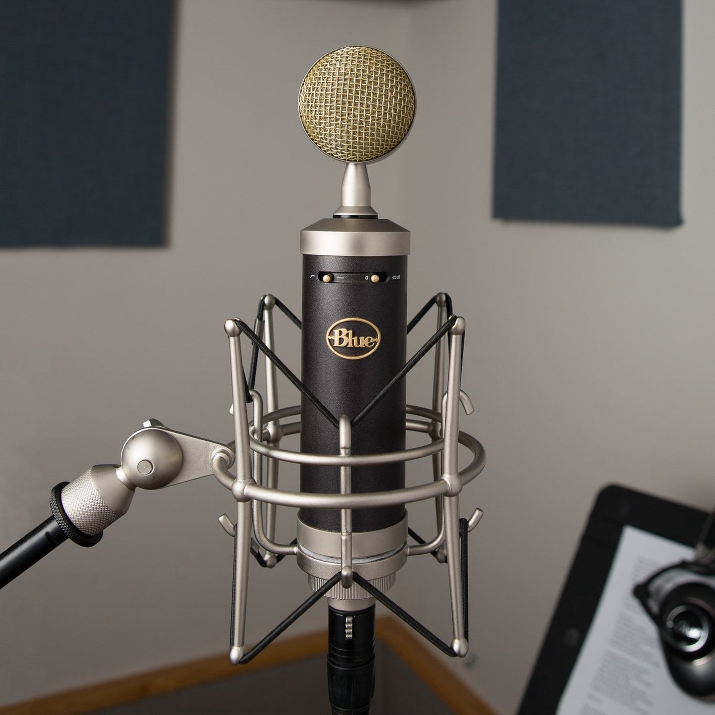 Blue Mic Baby Bottle SL Large Diaphragm Studio Condenser Microphone