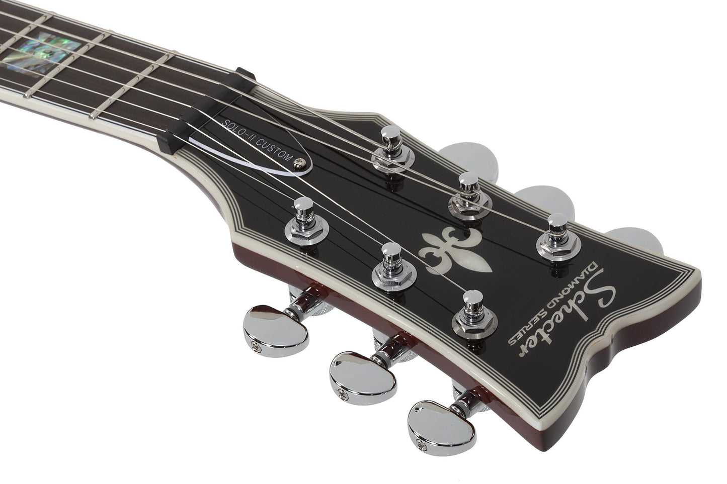 Schecter Solo II Custom in Gloss Natural Burl
