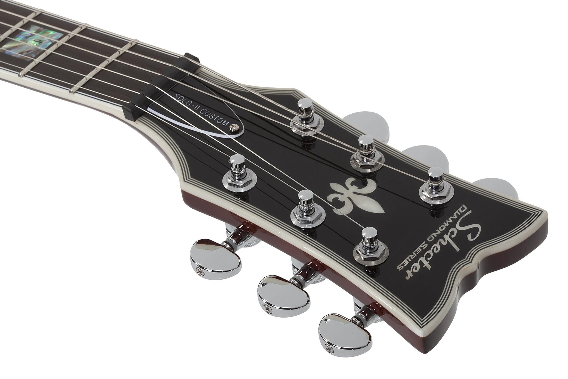 Schecter Solo II Custom in Gloss Natural Burl