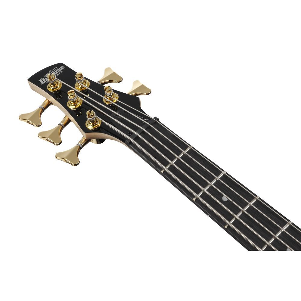Ibanez GSR205PC 5 String Electric Bass Guitar in Transparent Marine Burst