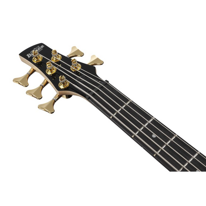 Ibanez GSR205PC 5 String Electric Bass Guitar in Transparent Marine Burst