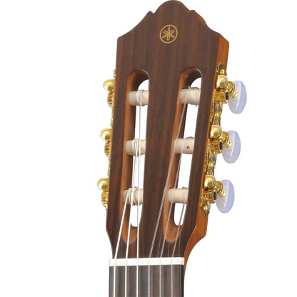 Yamaha CG162S Classical Guitar in Gloss