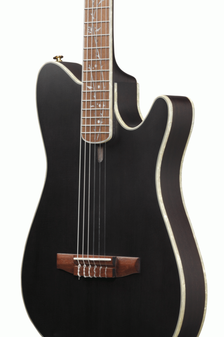 Ibanez TOD10N Tim Henson Signature Nylon String Electric Guitar in Transparent Black Flat