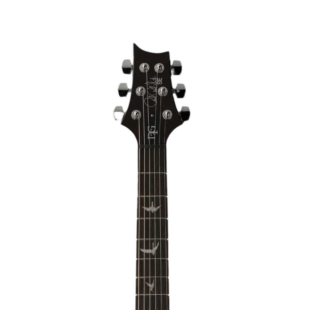 PRS SE DGT Bird Inlays in McCarty Tobacco Sunburst