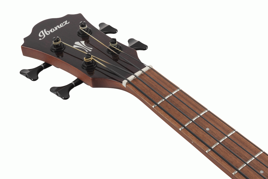 Ibanez AEGB24E Acoustic Bass in Mahogany Sunburst High Gloss