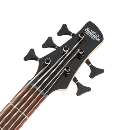 Ibanez GSR205B Electric 5 String Bass in Walnut Flat