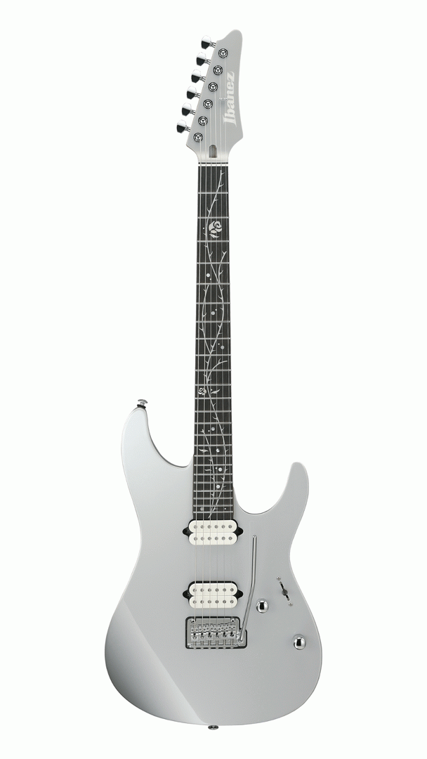 Ibanez TOD10 in Silver