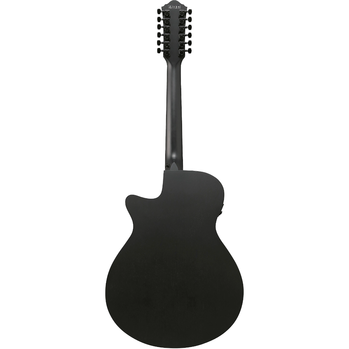 Ibanez AEG1221 12-String Acoustic Guitar in Black Out