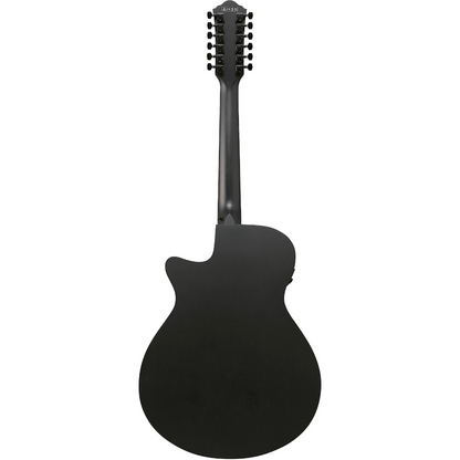 Ibanez AEG1221 12-String Acoustic Guitar in Black Out