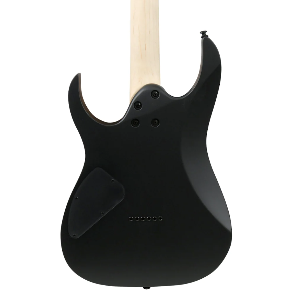 Ibanez RG421EX BKF Electric Guitar in Black Flat