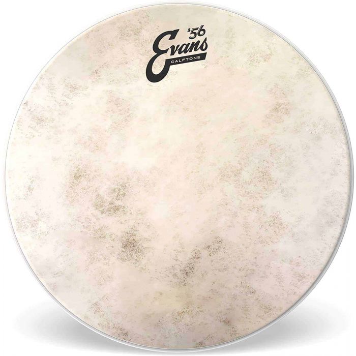 Evans Calftone 15" Tom Drum Head