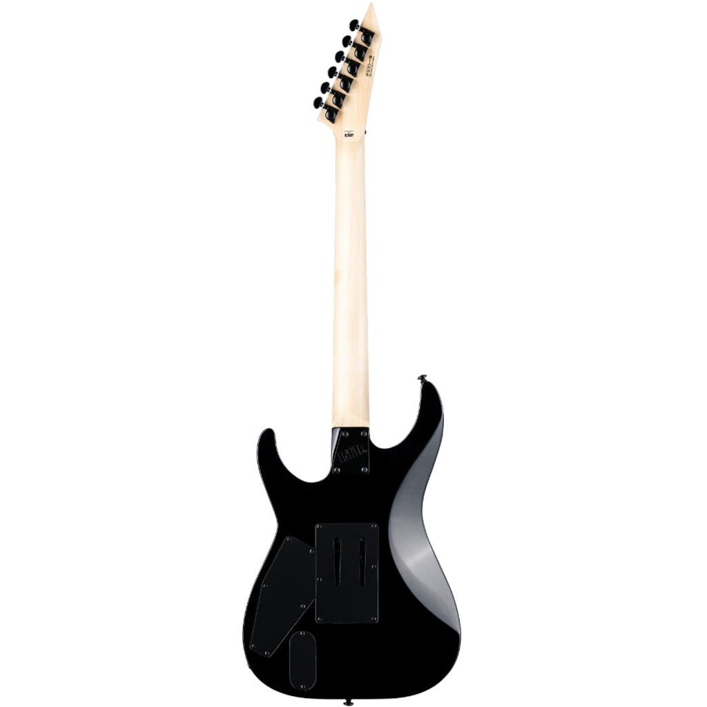 ESP LTD M-1000 Electric Guitar in Black