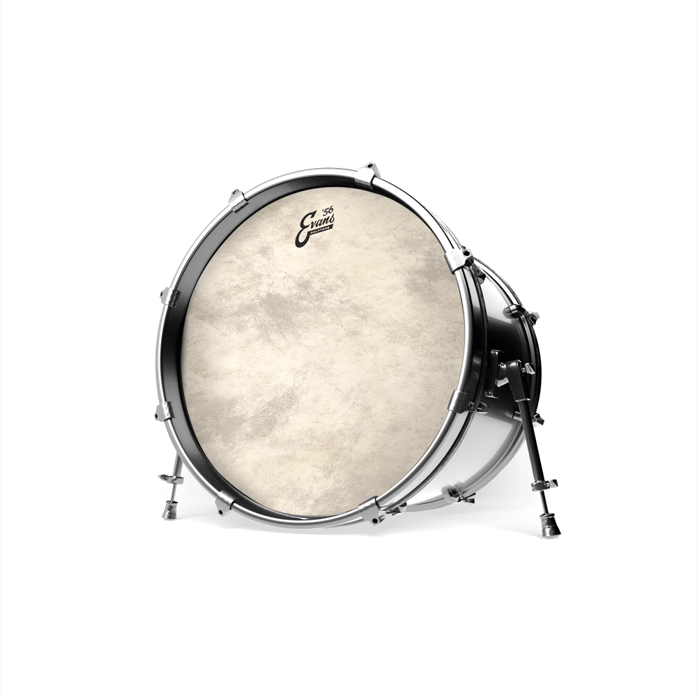 Evans EQ4 Calftone 26" Bass Drum Head