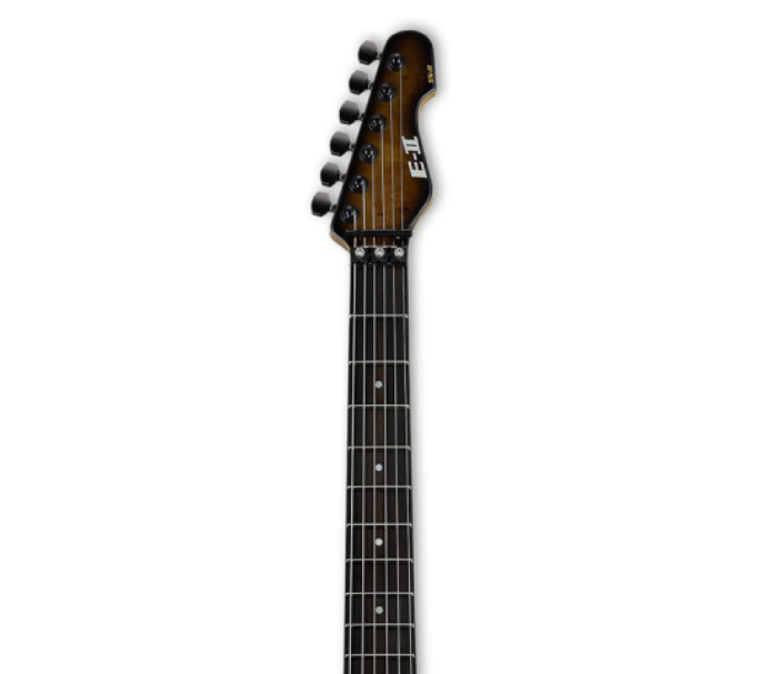 ESP E II SN II in Nebula Black Burst