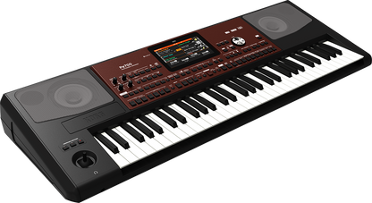 KORG PA700 61 Key Arranger Keyboard