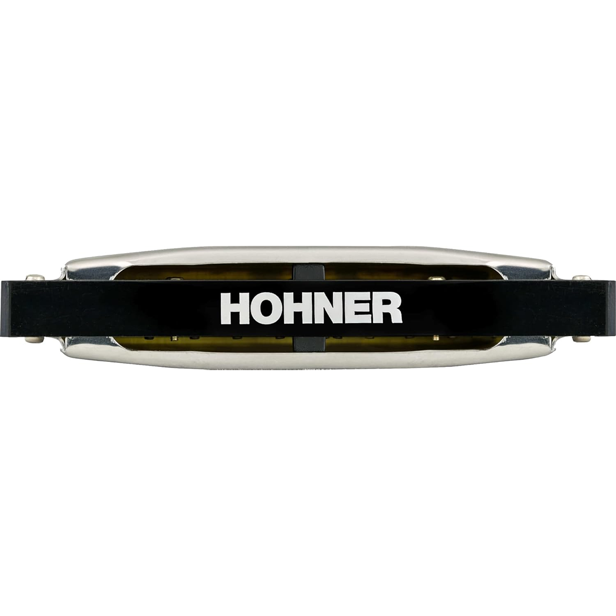 Hohner Silver Star 10 Hole Harmonica F