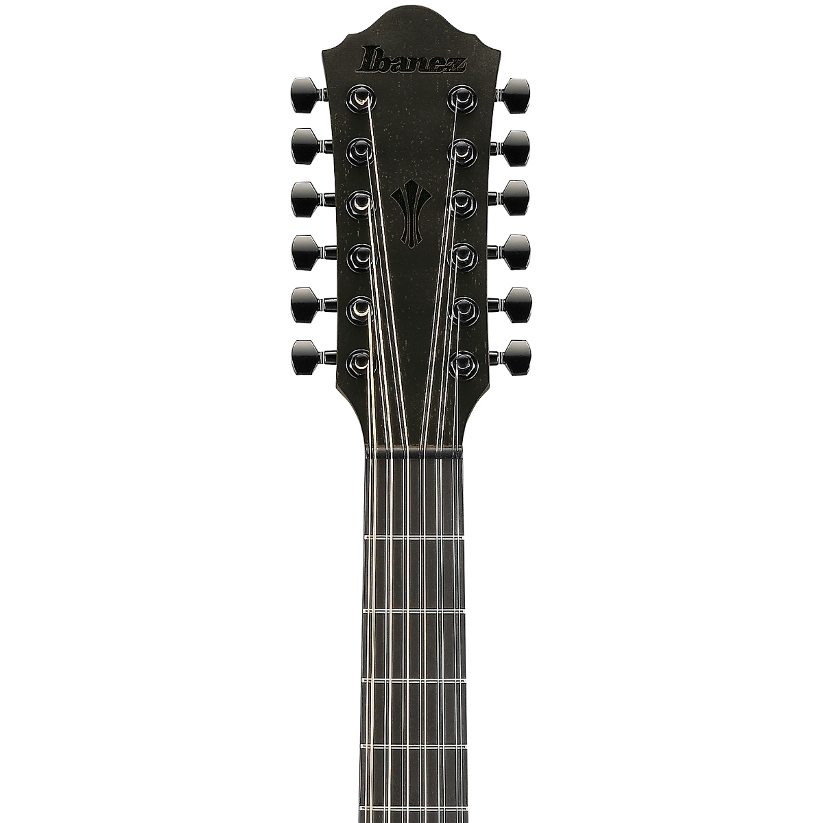 Ibanez AEG1221 12-String Acoustic Guitar in Black Out