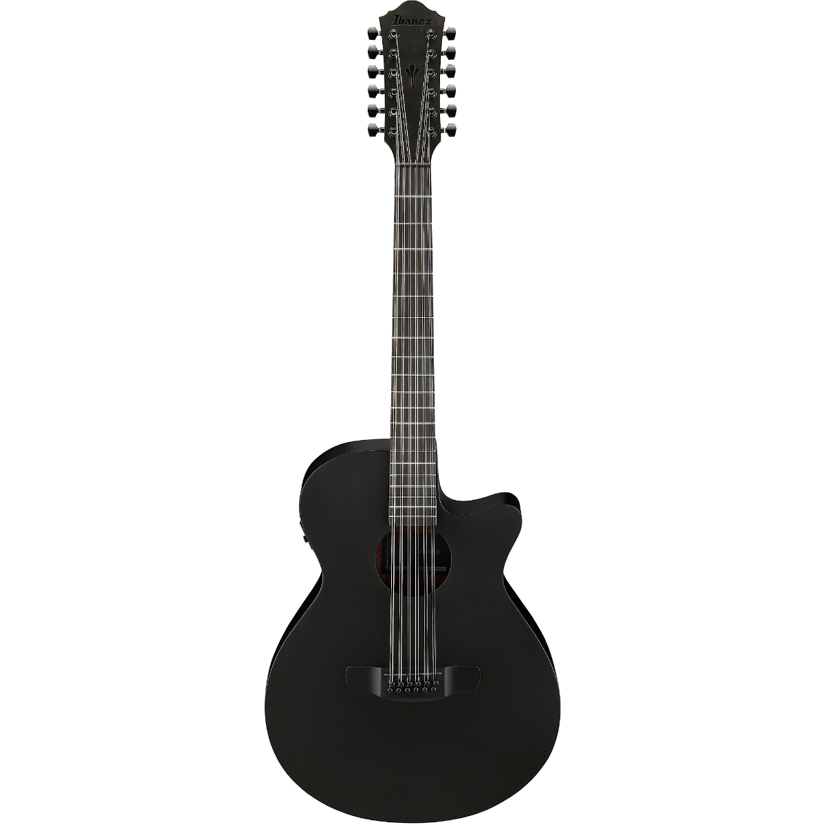 Ibanez AEG1221 12-String Acoustic Guitar in Black Out