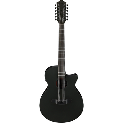 Ibanez AEG1221 12-String Acoustic Guitar in Black Out