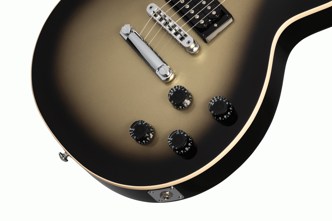 Gibson Adam Jones Les Paul Standard in Silverburst
