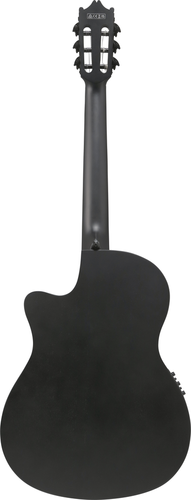 Ibanez GA621 Electric Acoustic Guitar in Black Out