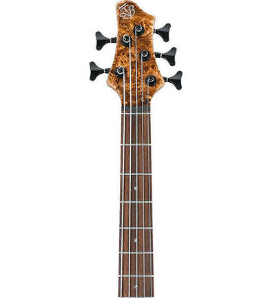 Ibanez BTB845V 5 String in Antique Brown Stained Low Gloss