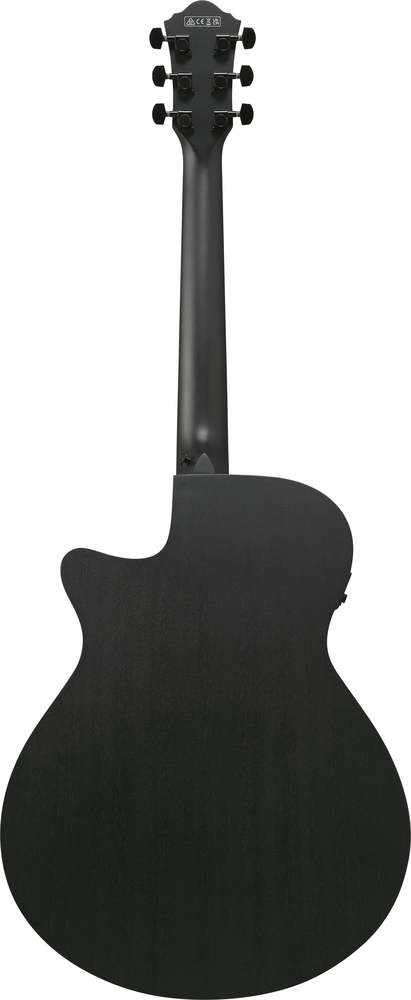 Ibanez AEG621 Electric Acoustic Guitar in Black Out