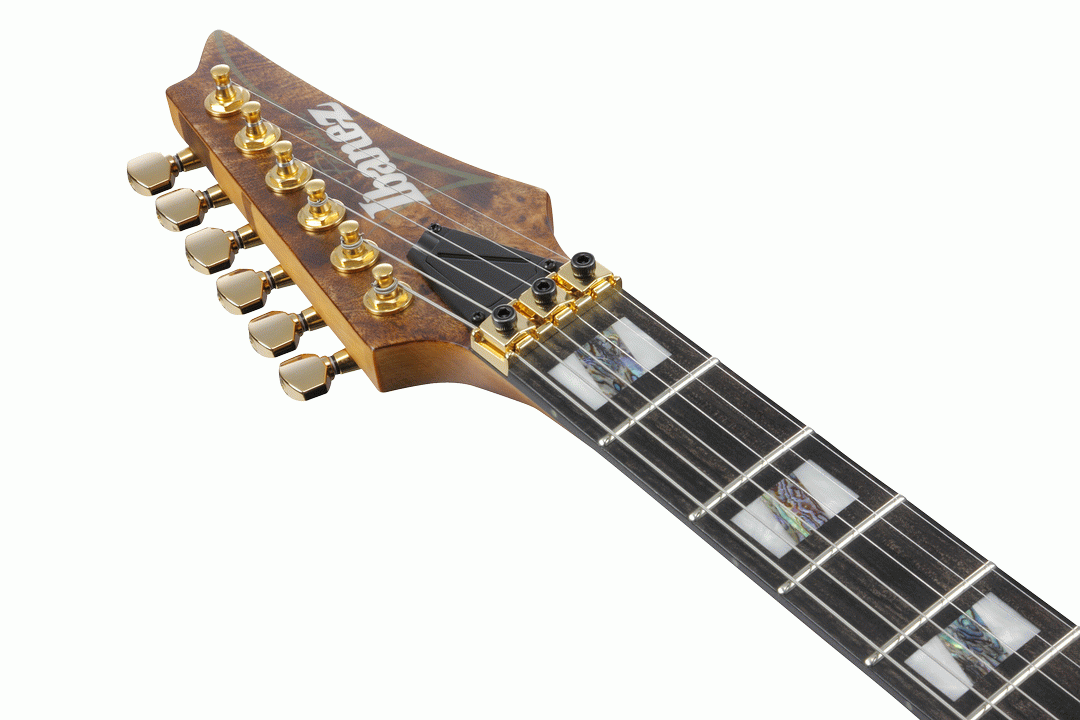 Ibanez RGT1220PB Premium Electric Guitar in Antique Brown Stained Flat
