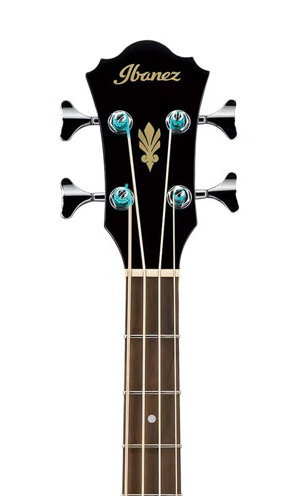 Ibanez AEB8E Acoustic Bass Guitar in Black