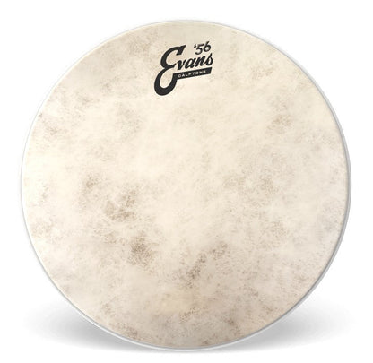 Evans Calftone 8" Tom Drum Head