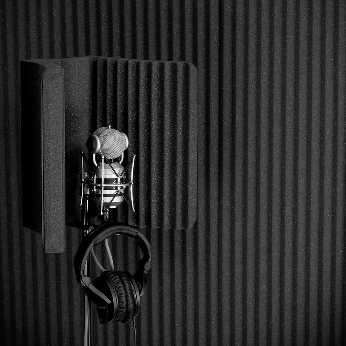 Auralex MudGuard v2 Microphone Isolation Shield