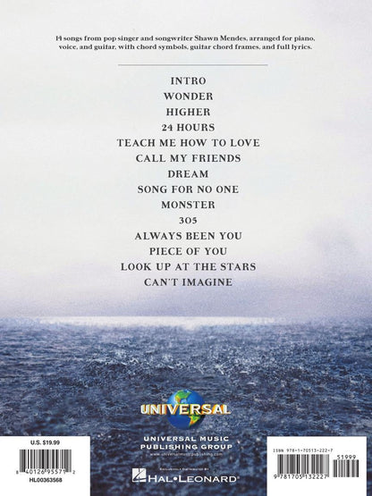 Shawn Mendes Wonder PVG
