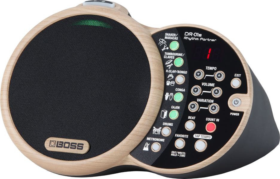 Boss DR01S Rhythm Partner Groove Machine
