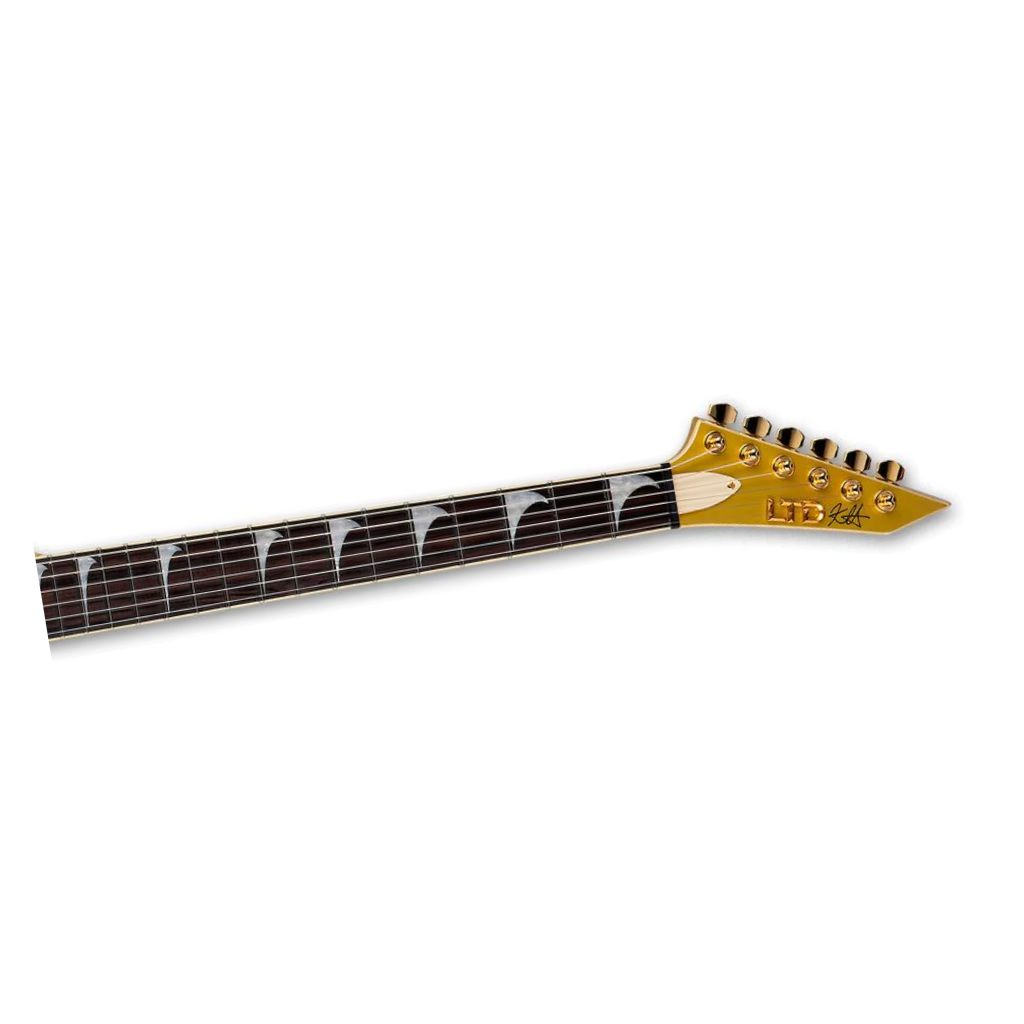 ESP LTD Kirk Hammett Signature V Electric Guitar in Metallic Gold